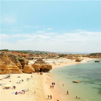 新天地棋牌手机app下载